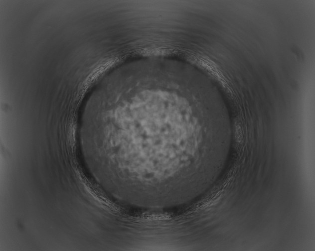 X0000090700491200708031416