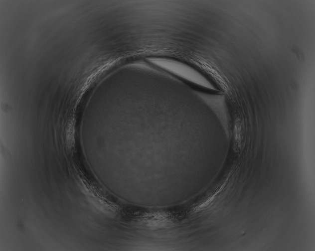 X0000090700492200708031416