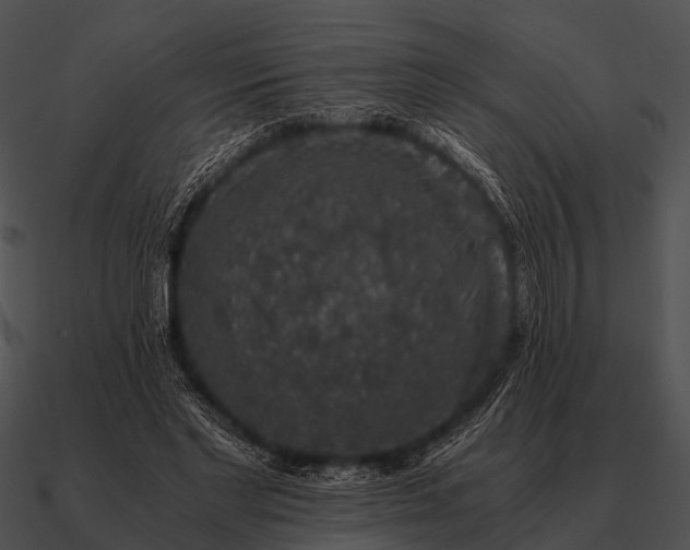 X0000090700493200708031416