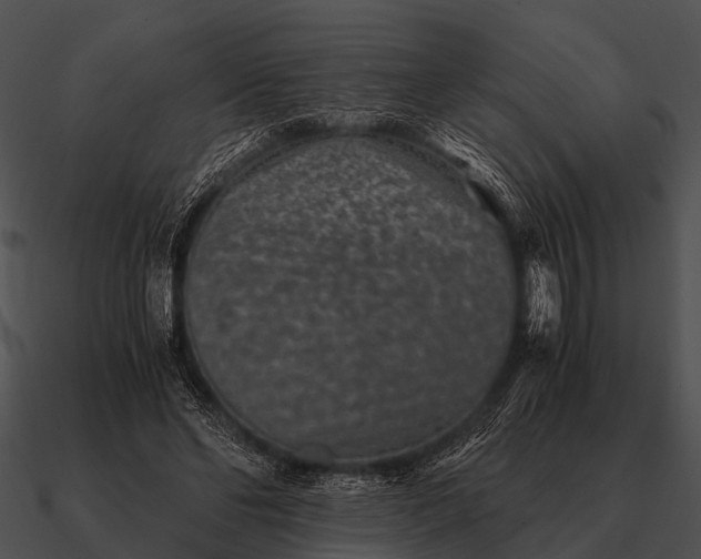 X0000090700494200708031416