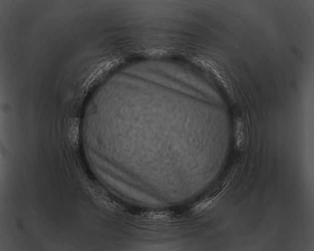 X0000090700495200708031416