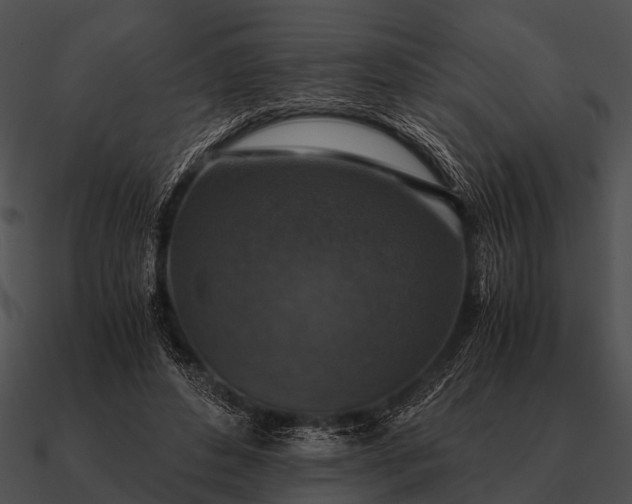 X0000090700496200708031416