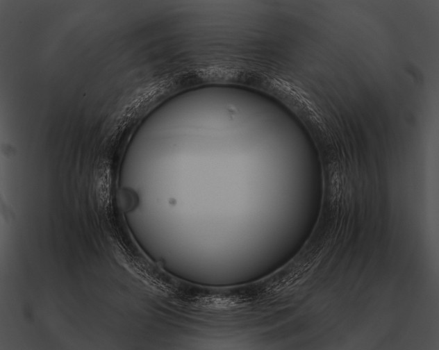 X0000090700498200708031416