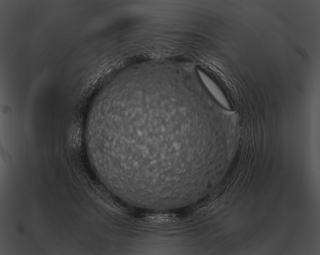 X0000090700499200708031416