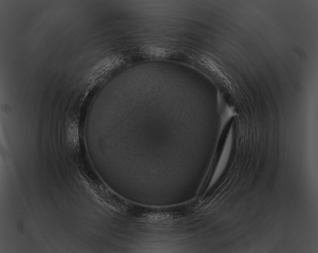 X0000090700500200708031416