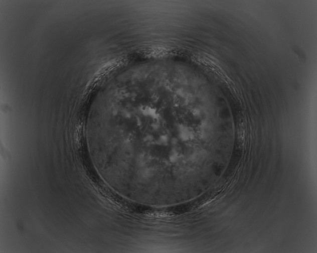 X0000090700503200708031416