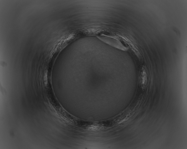 X0000090700504200708031416