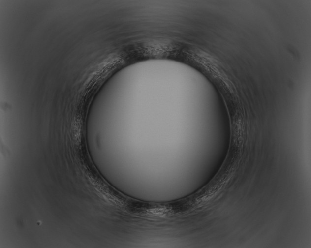 X0000090700505200708031416