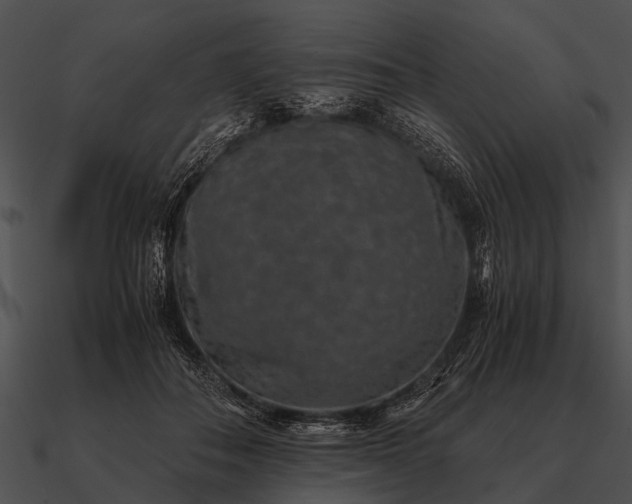 X0000090700506200708031416