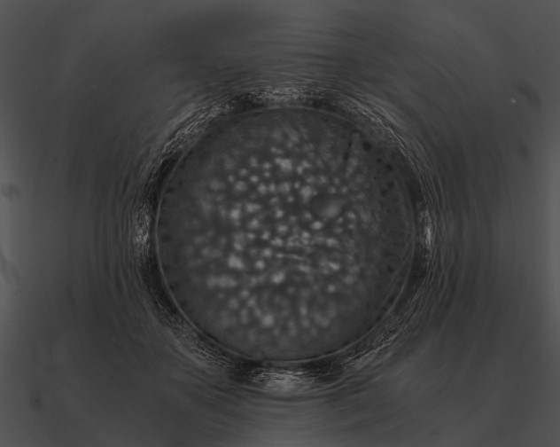 X0000090700507200708031416