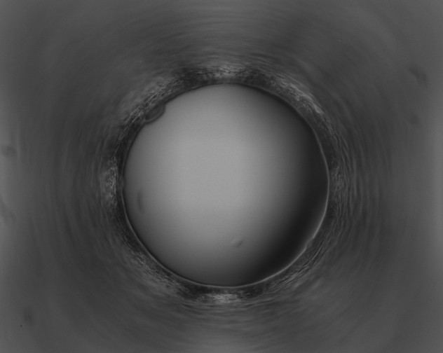 X0000090700509200708031416