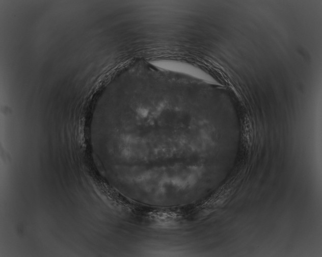 X0000090700512200708031416