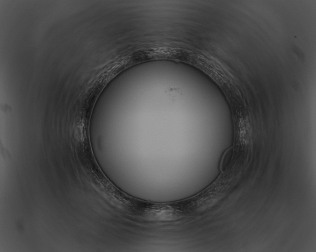 X0000090700514200708031416