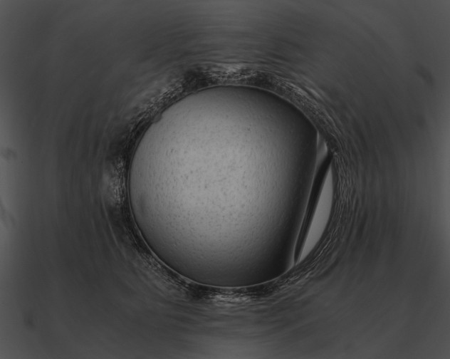 X0000090700515200708031416