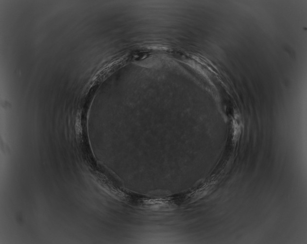 X0000090700516200708031416