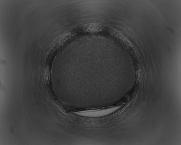 X0000090700517200708031416