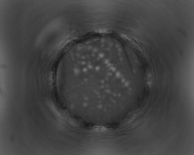 X0000090700519200708031416