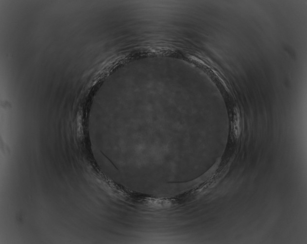 X0000090700520200708031416