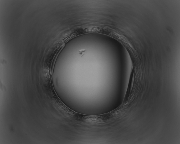 X0000090700521200708031416