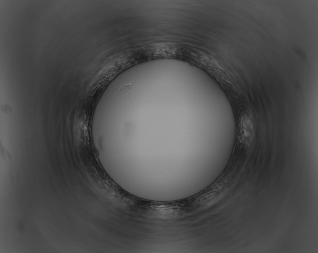 X0000090700522200708031416