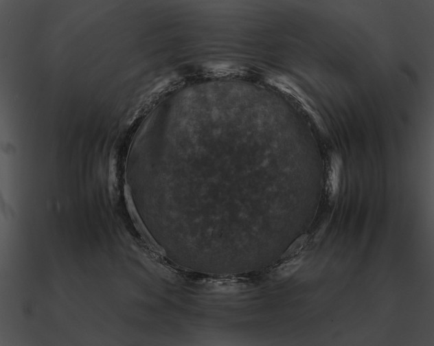 X0000090700524200708031416