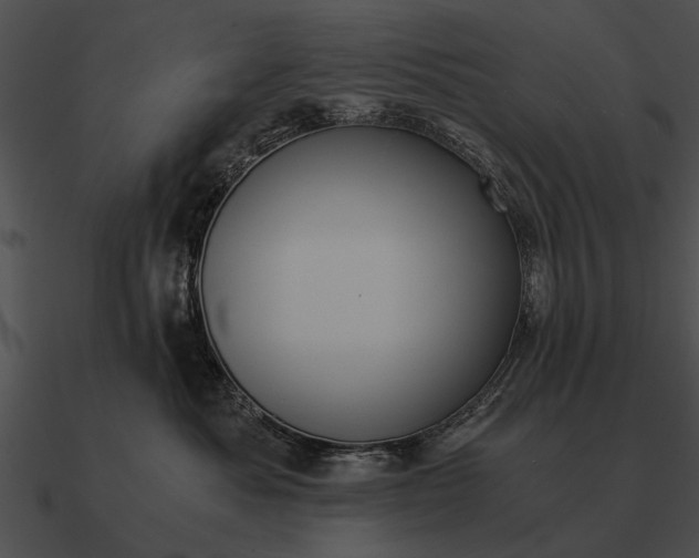 X0000090700525200708031416