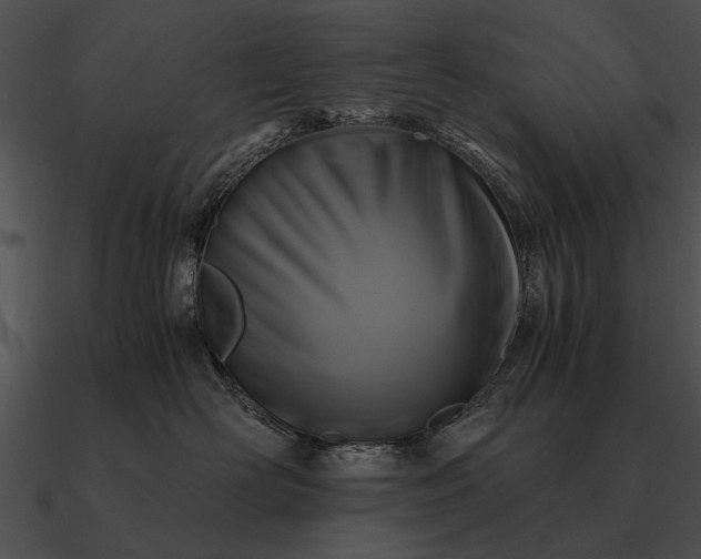 X0000090700526200708031416