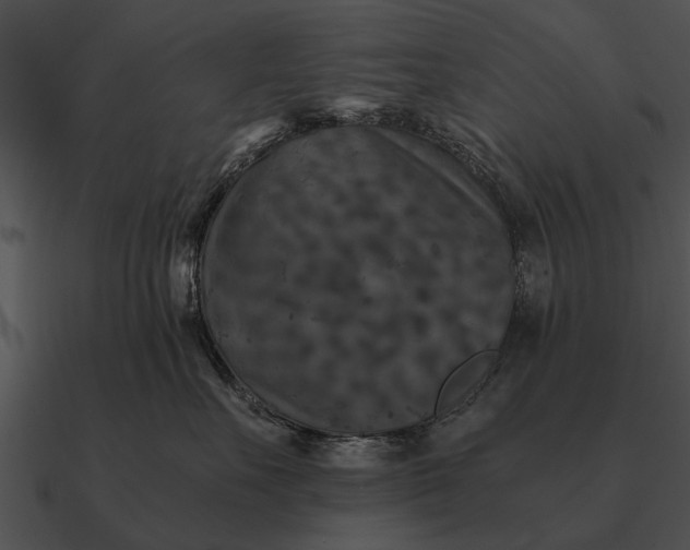 X0000090700527200708031416