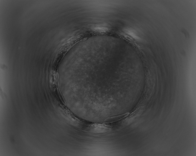 X0000090700528200708031416