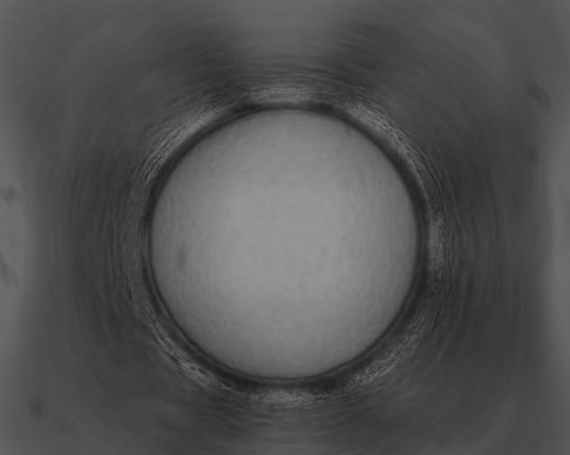 X0000090700529200708031415