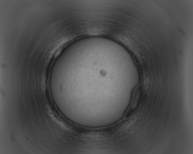 X0000090700530200708031415