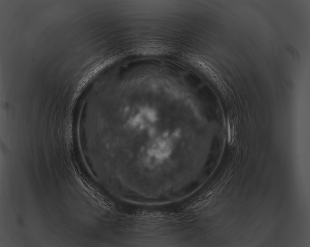 X0000090700531200708031415