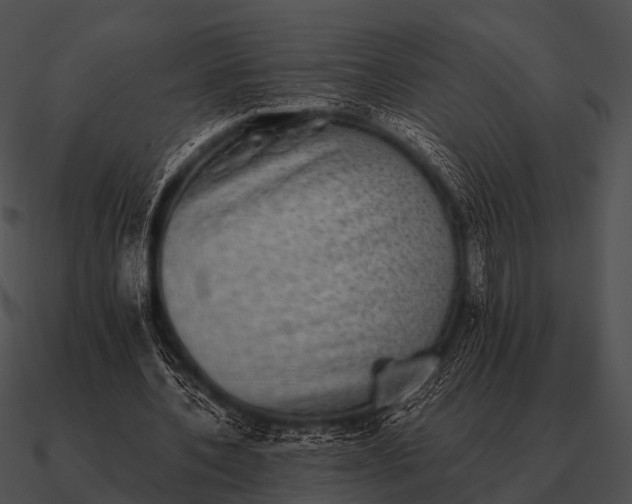 X0000090700532200708031415