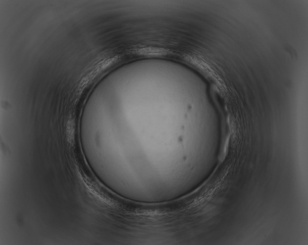 X0000090700533200708031415