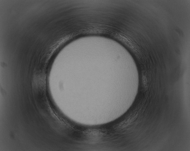 X0000090700534200708031415