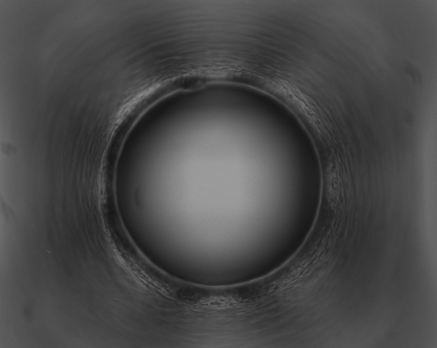 X0000090700536200708031415