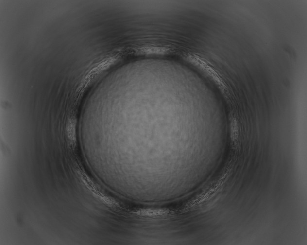 X0000090700537200708031415