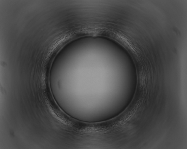 X0000090700538200708031415