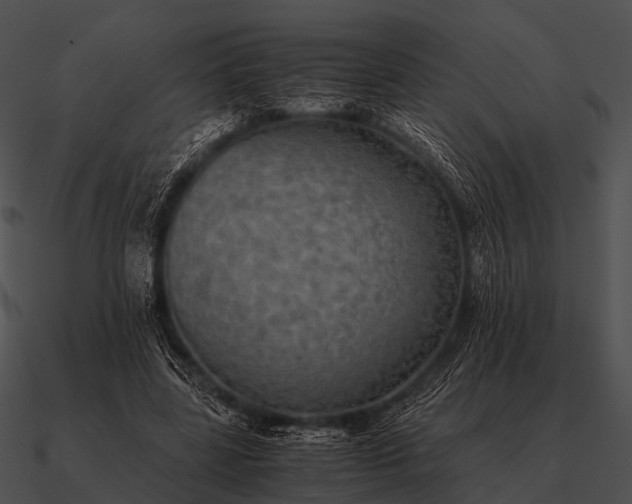 X0000090700539200708031415