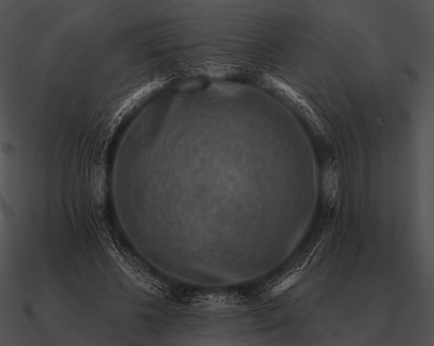 X0000090700540200708031415