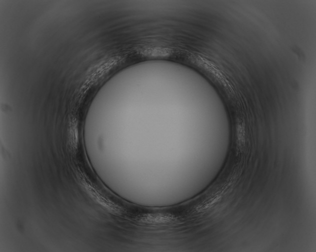 X0000090700541200708031415