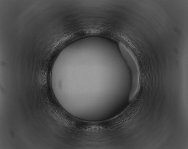 X0000090700543200708031415