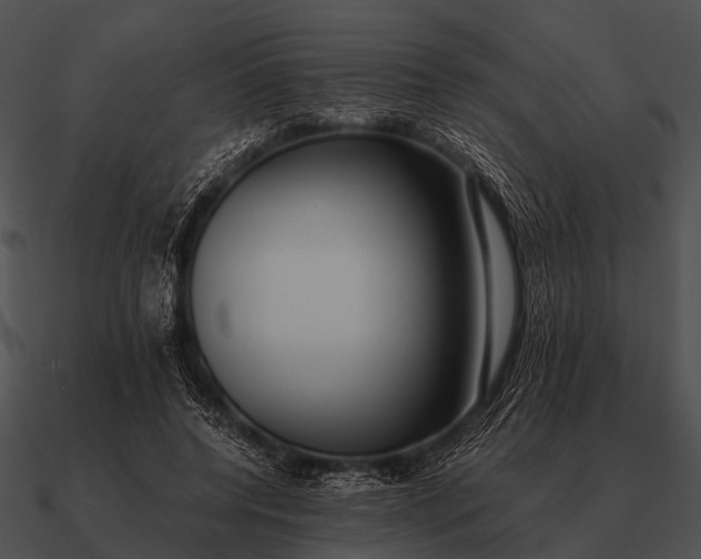 X0000090700544200708031415