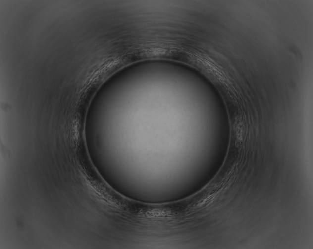 X0000090700546200708031415