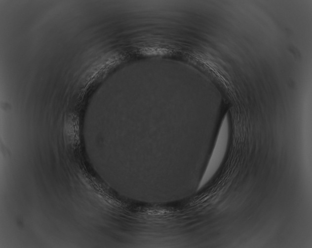 X0000090700547200708031415