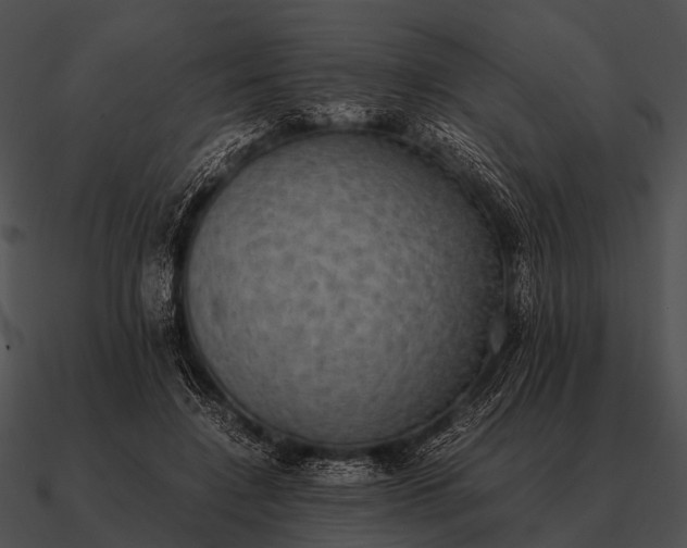 X0000090700548200708031415