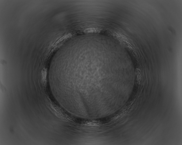 X0000090700550200708031415