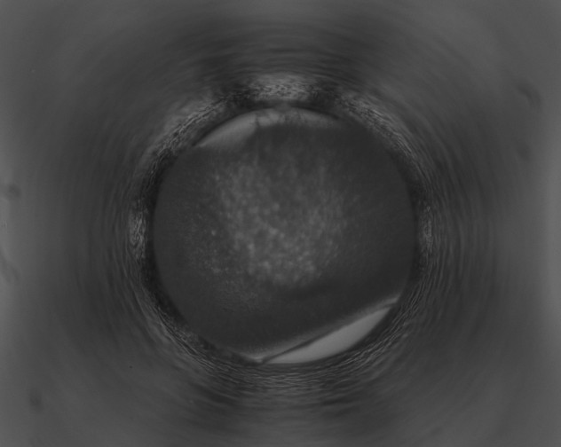 X0000090700551200708031415