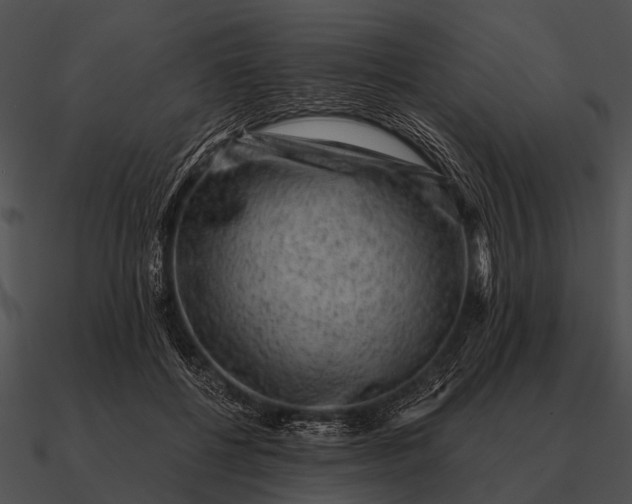 X0000090700552200708031415