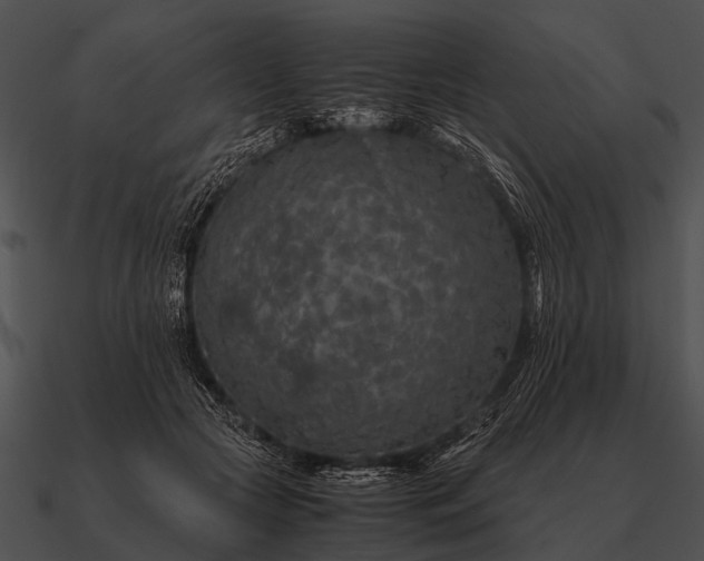 X0000090700553200708031415